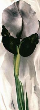Georgia O Keeffe : Iris